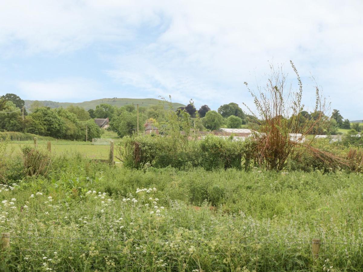 Little Willow Blandford Forum Extérieur photo